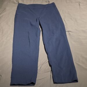 Slimsation By Multiples Navy Pants